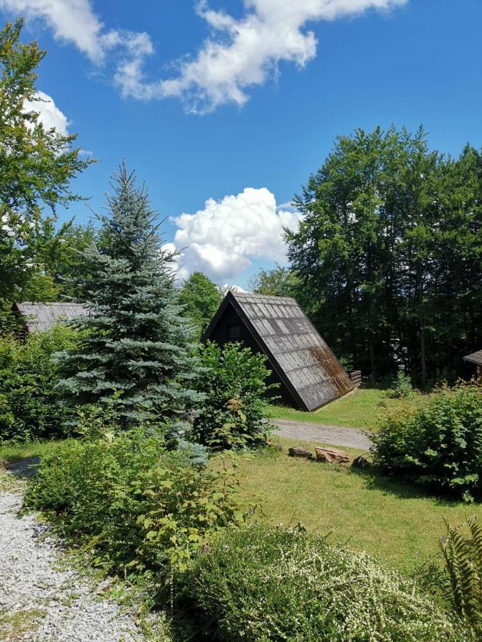 Blockhaus Am Twistesee Mit 3 Schlafzimmern Bad Arolsen Ngoại thất bức ảnh