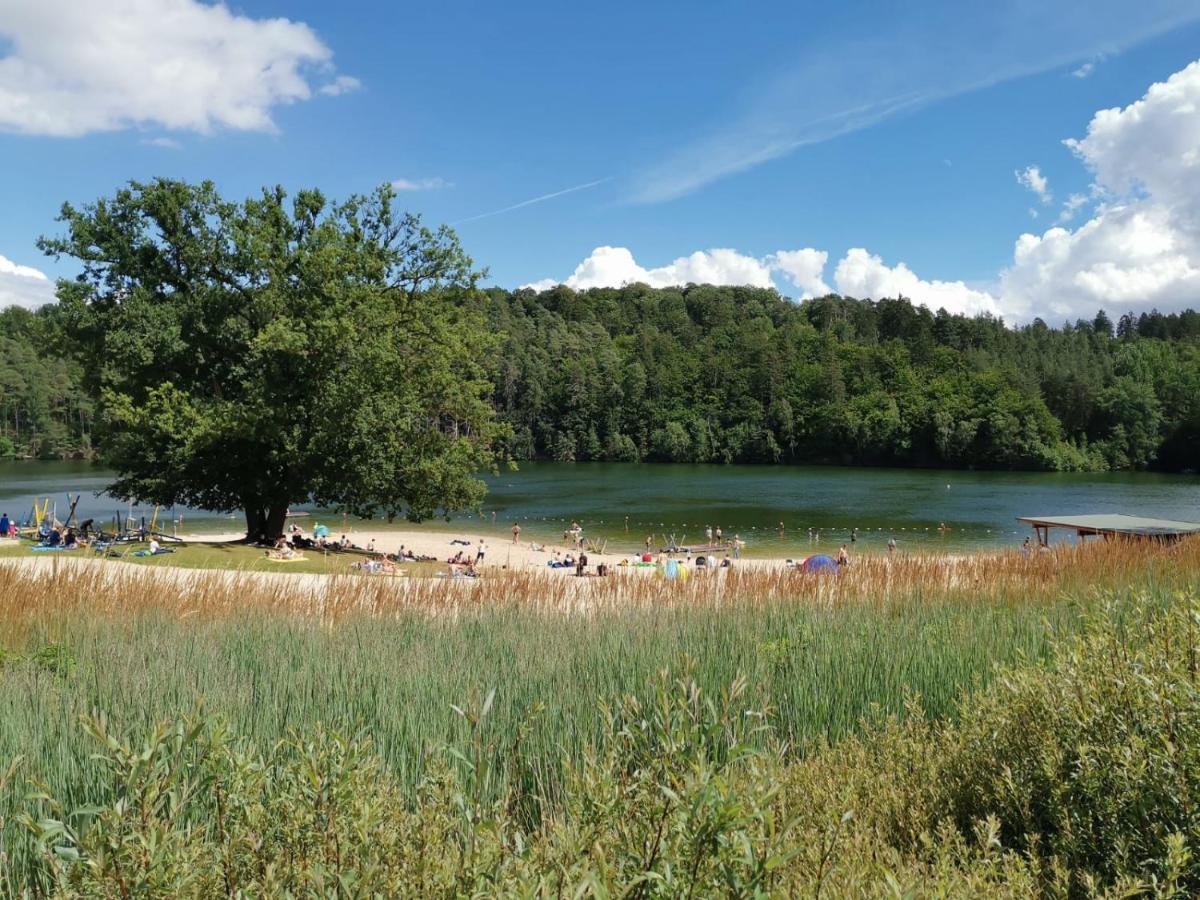 Blockhaus Am Twistesee Mit 3 Schlafzimmern Bad Arolsen Ngoại thất bức ảnh