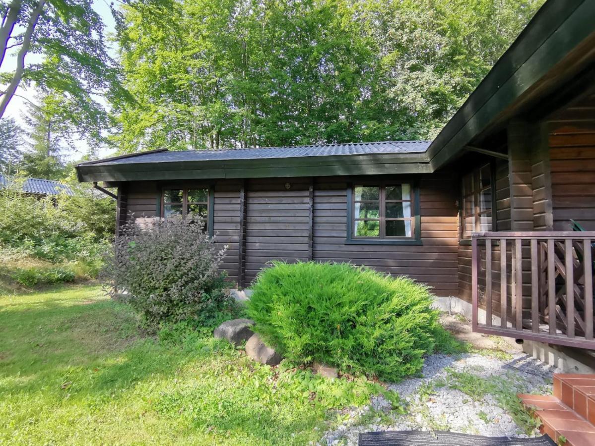 Blockhaus Am Twistesee Mit 3 Schlafzimmern Bad Arolsen Ngoại thất bức ảnh