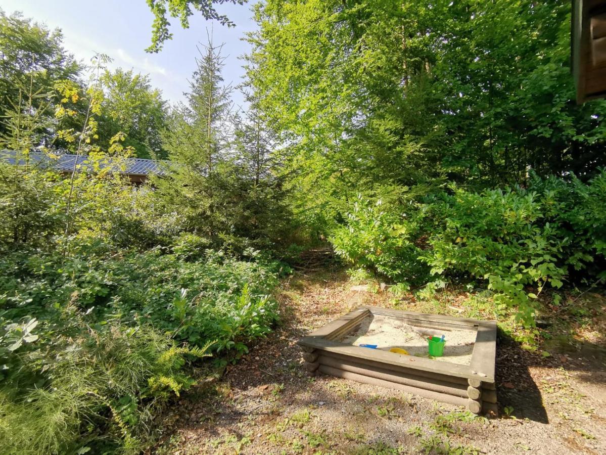 Blockhaus Am Twistesee Mit 3 Schlafzimmern Bad Arolsen Ngoại thất bức ảnh